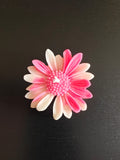Scented Daisy